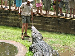 CairnsTC200 Cairns Tropical Zoo
